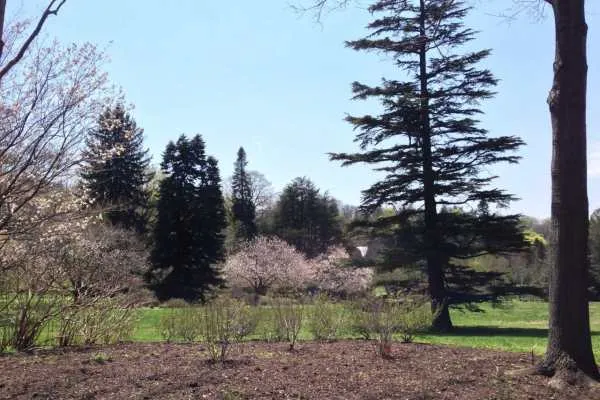 Morris Arboretum: Home Tweet Home