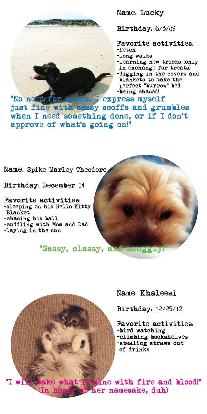 Pet Round Up