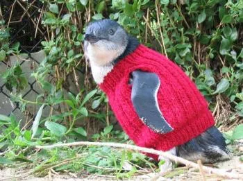 The Penguin Foundation