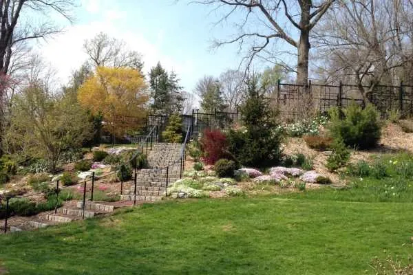 Morris Arboretum: Home Tweet Home
