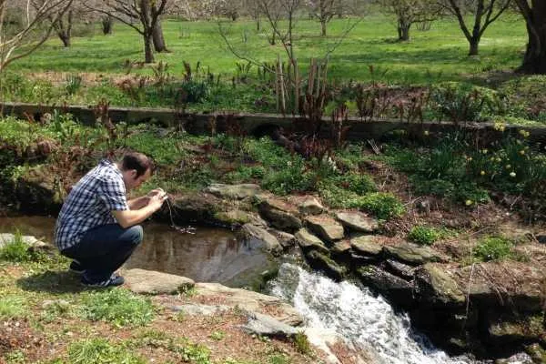 Morris Arboretum: Home Tweet Home