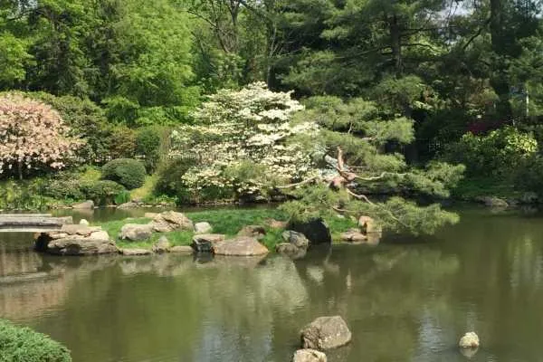 Shofuso Japanese House and Garden Recap