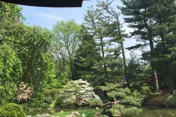 Shofuso Japanese House and Garden Recap