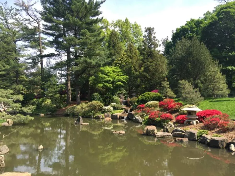 Shofuso Japanese House and Garden Recap