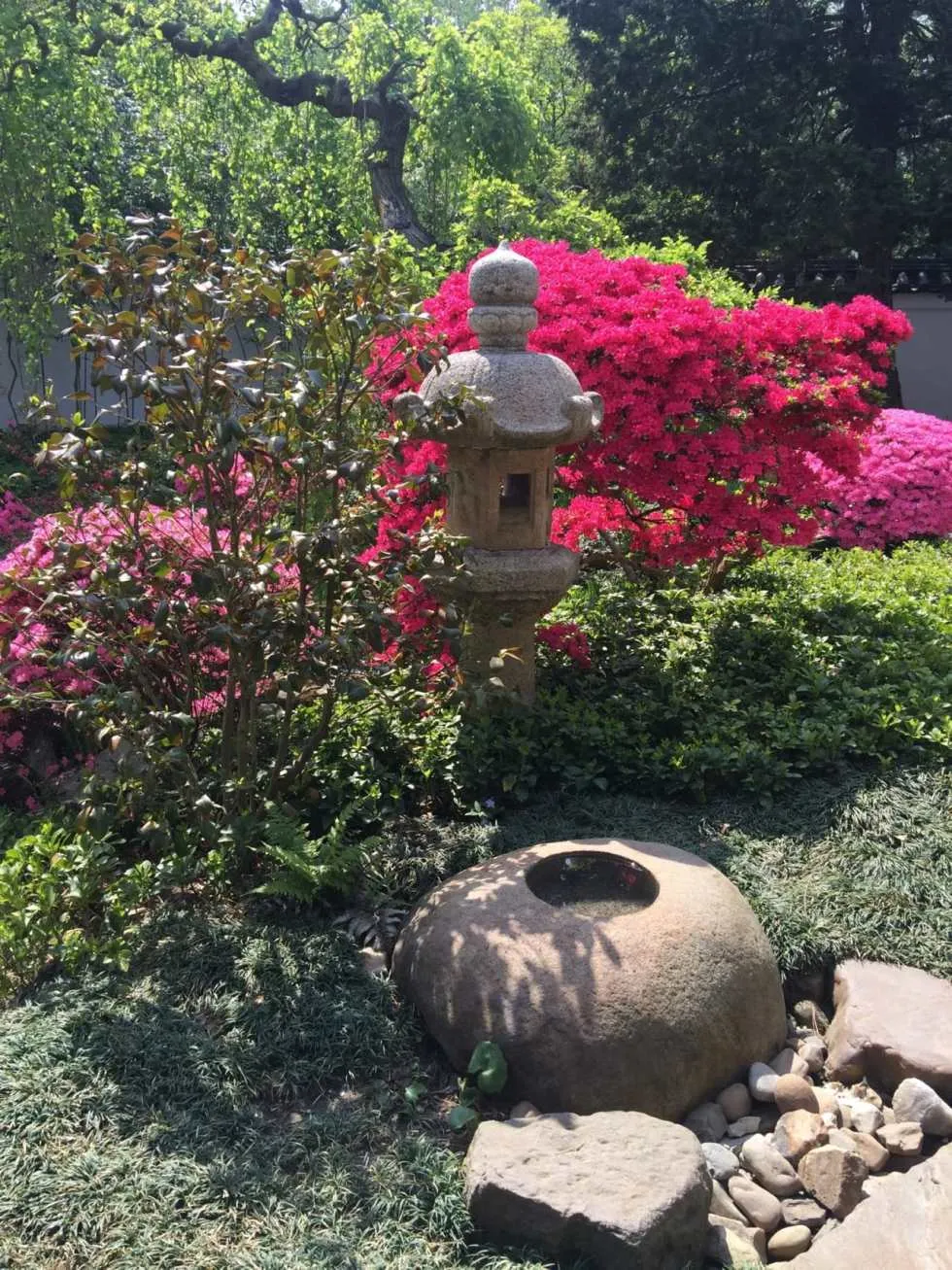 Shofuso Japanese House and Garden Recap