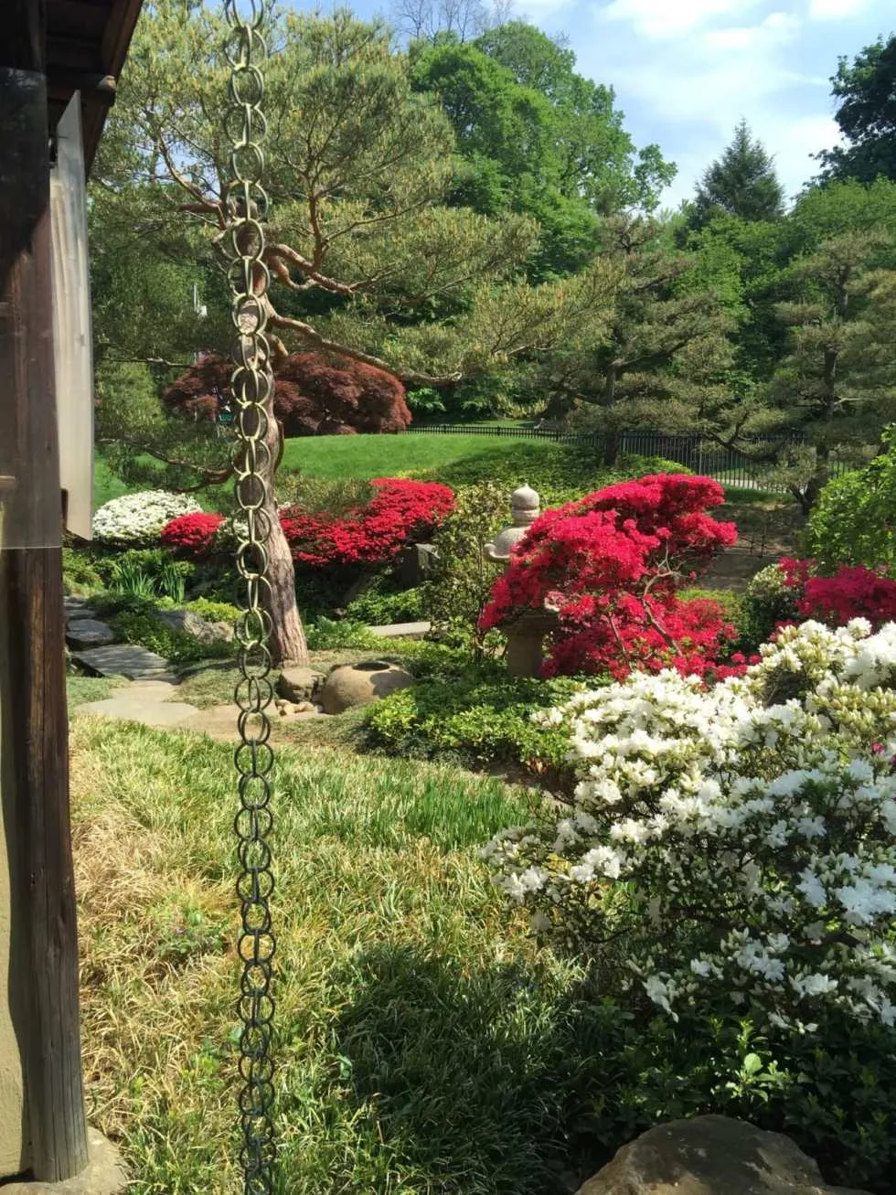 Shofuso Japanese House and Garden Recap