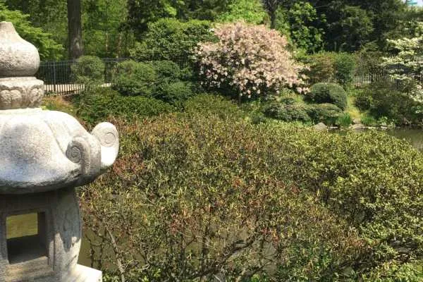 Shofuso Japanese House and Garden Recap