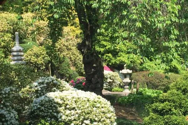 Shofuso Japanese House and Garden Recap