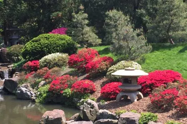 Shofuso Japanese House and Garden Recap