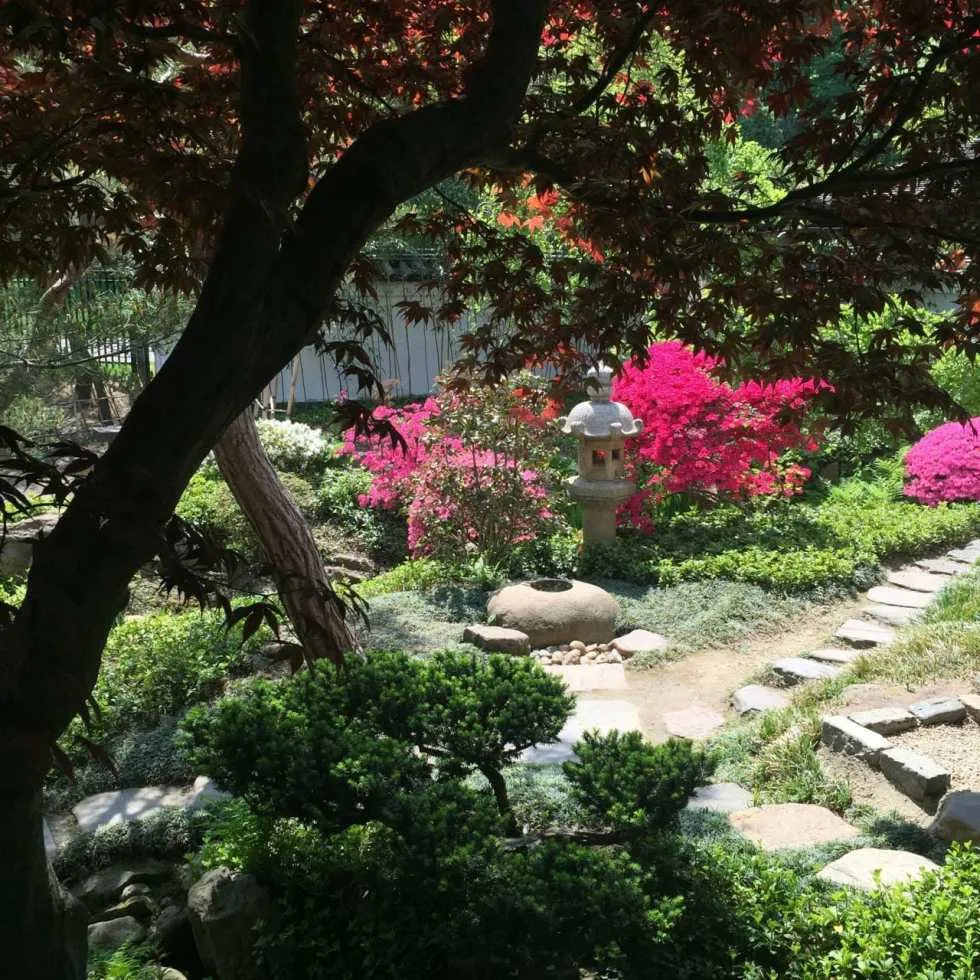 Shofuso Japanese House and Garden Recap