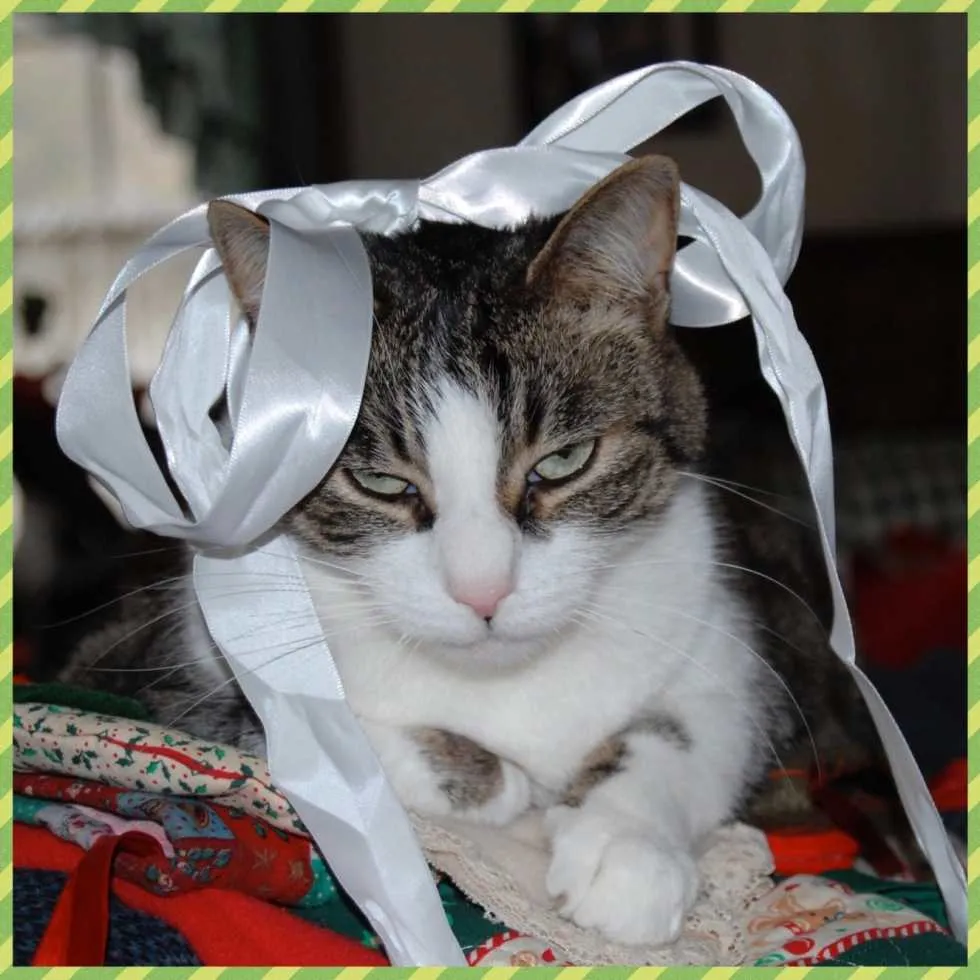 Flashback Friday: Spud Hates Christmas