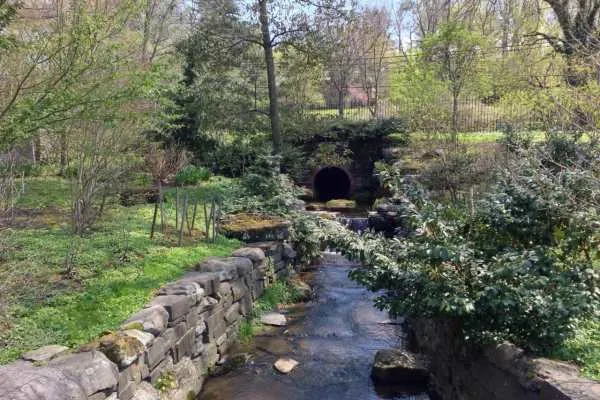 Morris Arboretum: Home Tweet Home