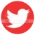 follow