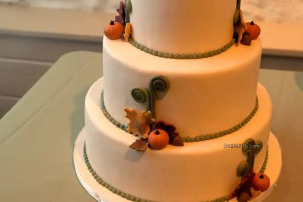 A Special Look at my Fall Wedding...