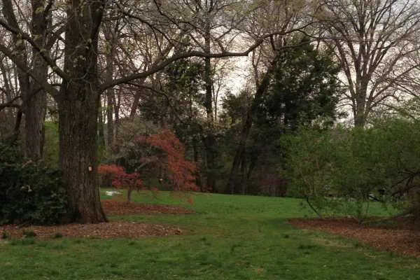 Morris Arboretum: Home Tweet Home