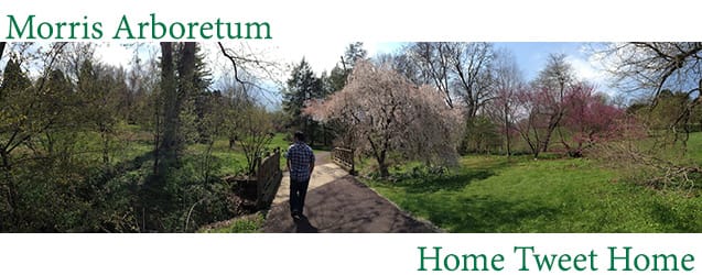Last Saturday, we visited the place we wed and had a fun scavenger hunt finding designer birdhouses on the grounds! Check out the photos from Morris Arboretum: Home Tweet Home!