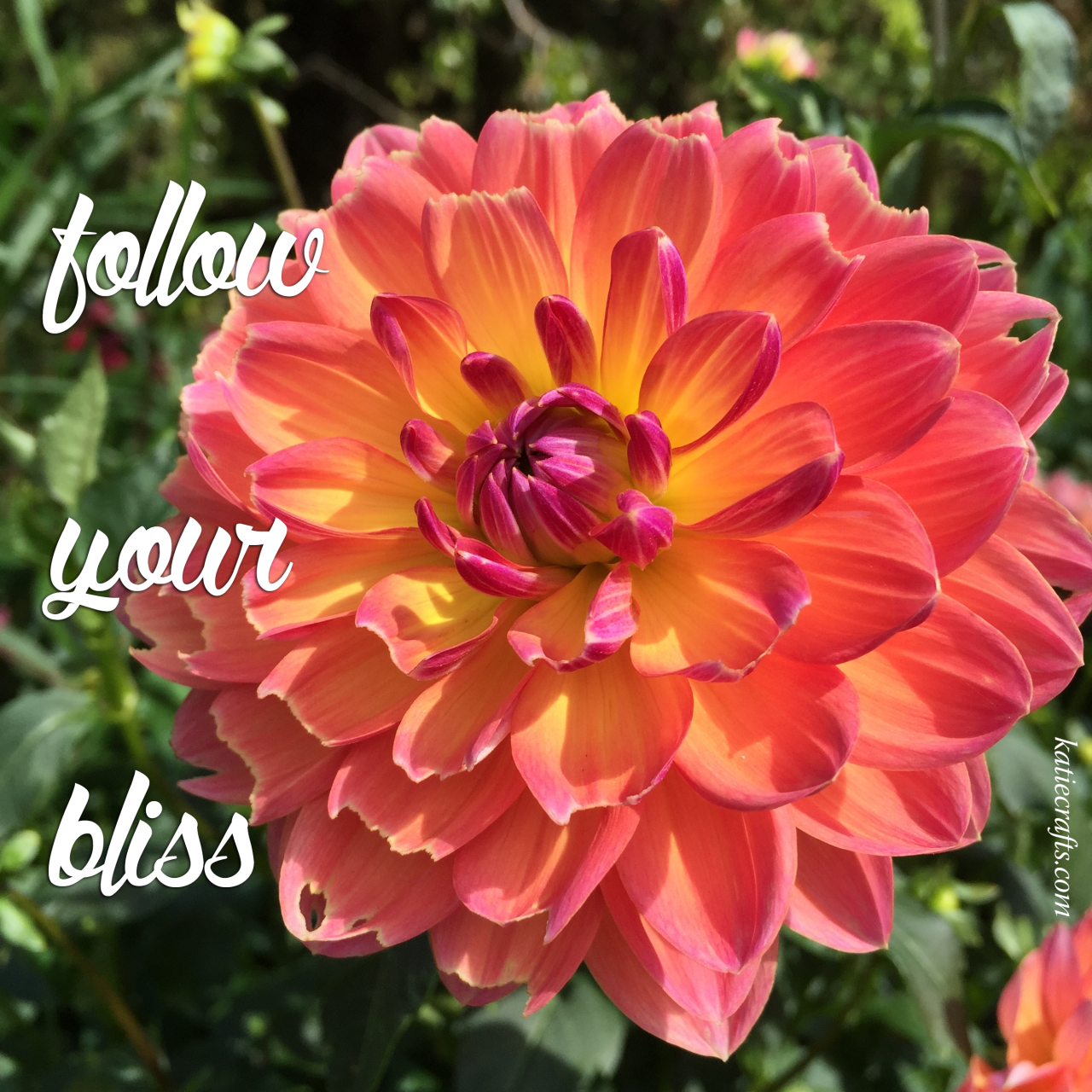 Words for Wednesday: Follow Your Bliss on Katie Crafts; https://www.katiecrafts.com