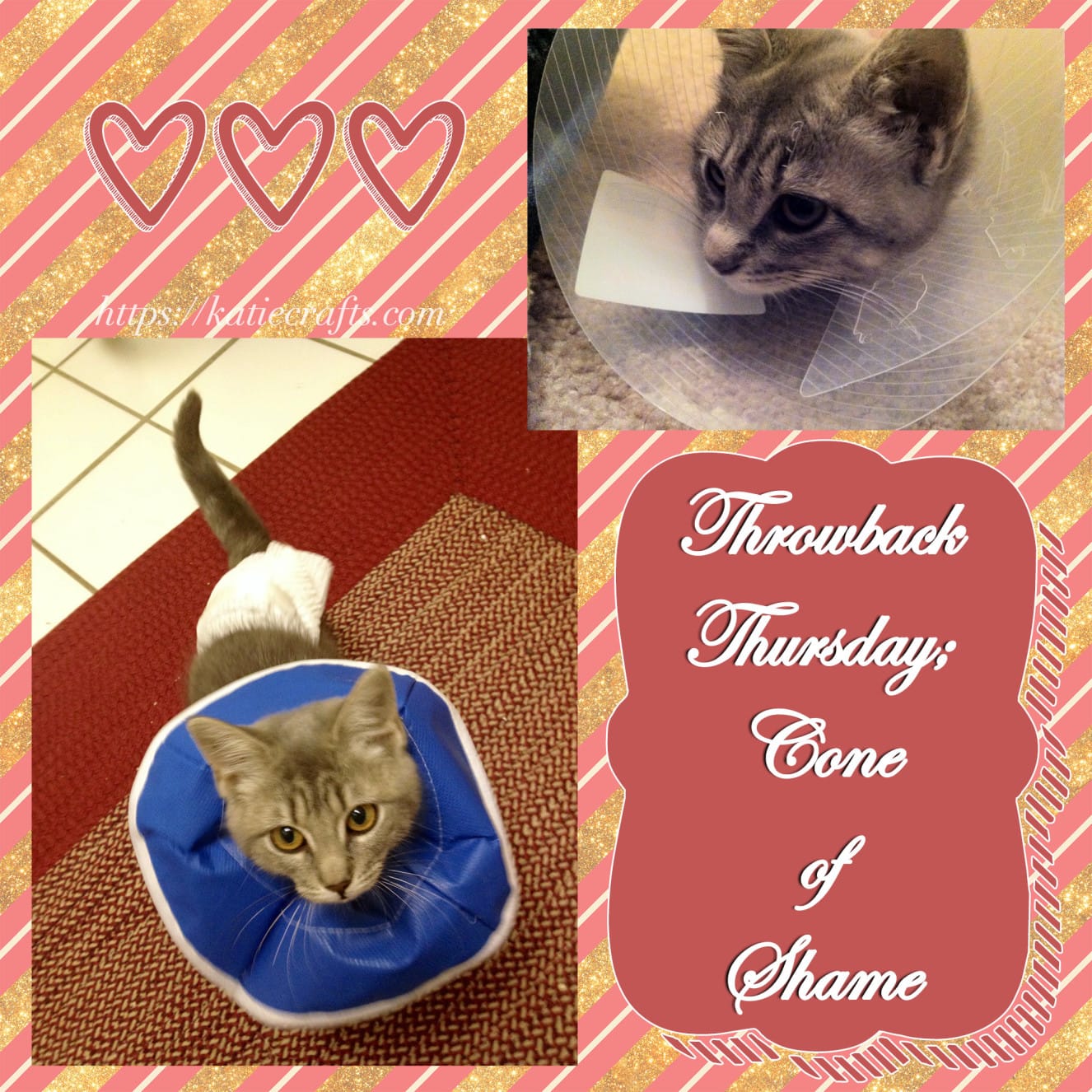 Throwback Thursday: Cone of Shame on Katie Crafts; https://www.katiecrafts.com